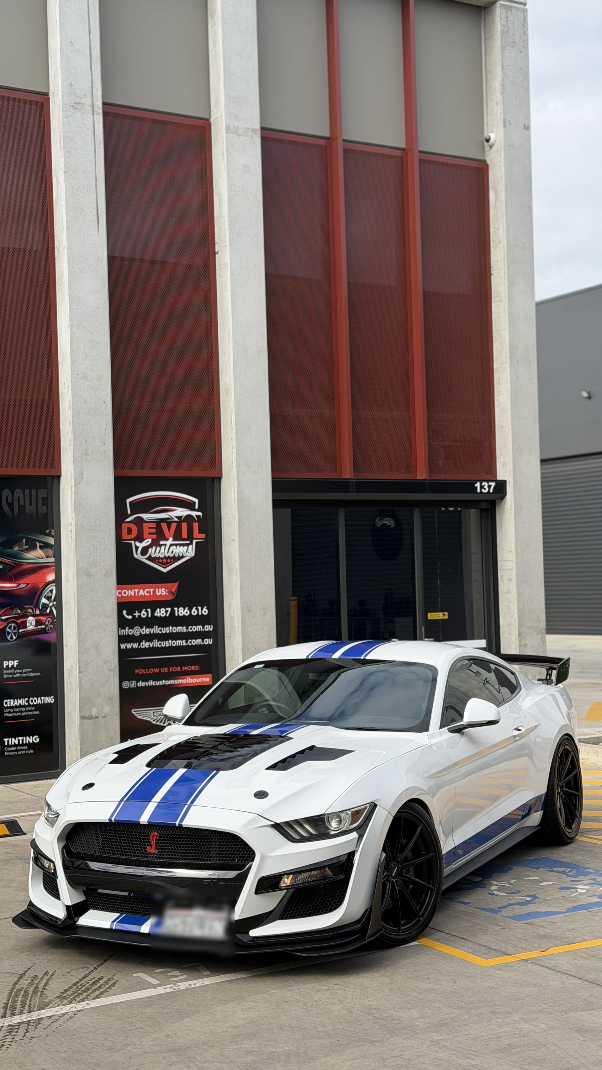 Ford Shelby GT500 — Shelby Kit & Full Detail